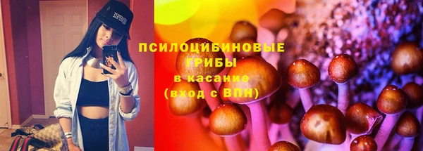 гидропоника Нея