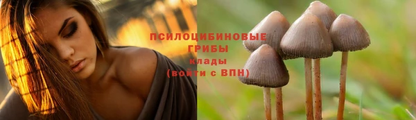 герыч Нефтегорск